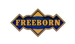 Freeborn Cypher VTTRPG Campaign